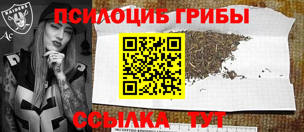 Псилоцибиновые грибы мицелий Каспийск