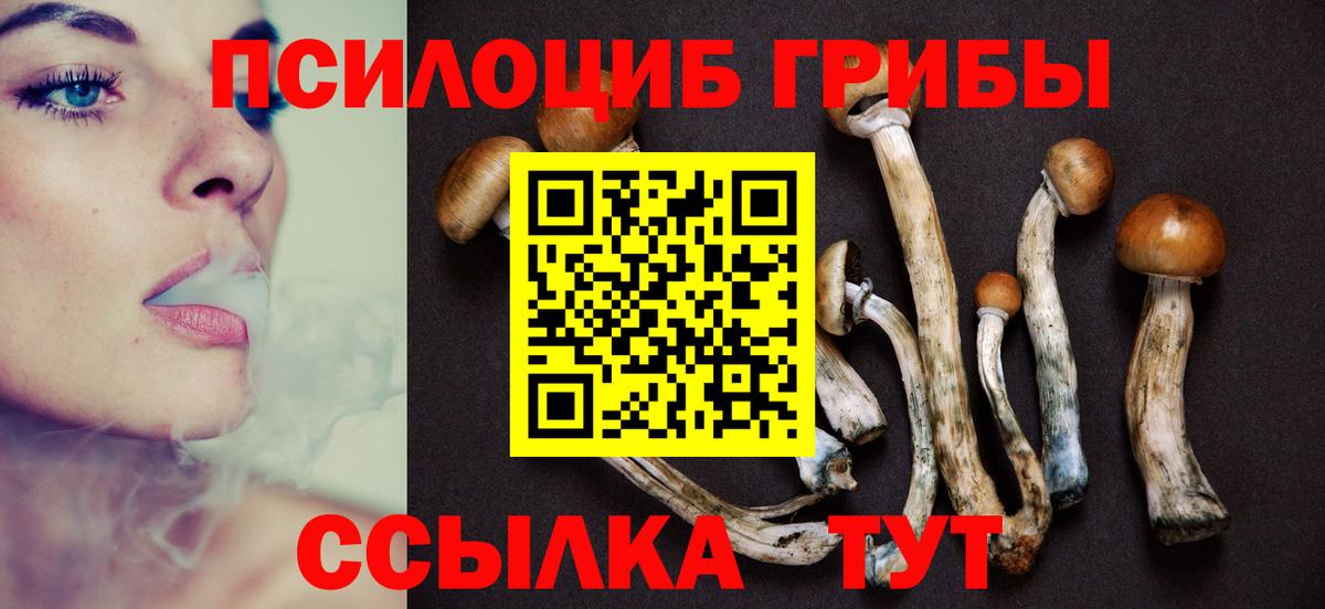 Каспийск  Галлюциногенные грибы прущие грибы  Вход с VPN 